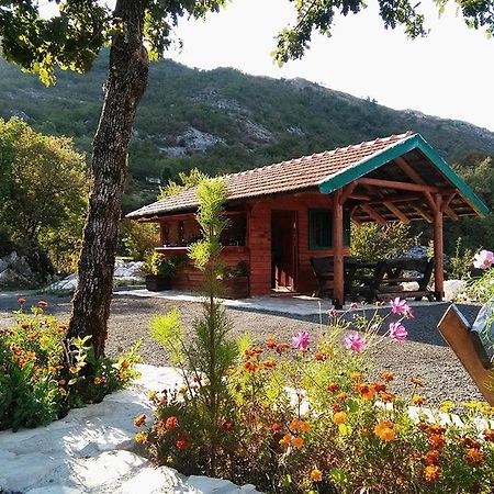 Camp Oaza,Lipa Hotell Cetinje Eksteriør bilde