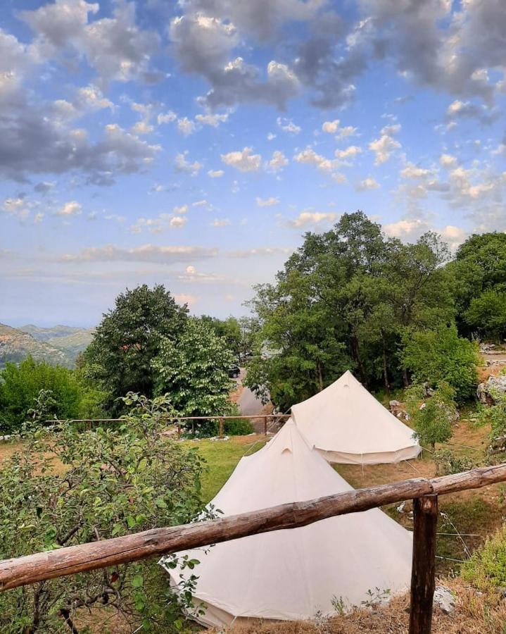 Camp Oaza,Lipa Hotell Cetinje Eksteriør bilde