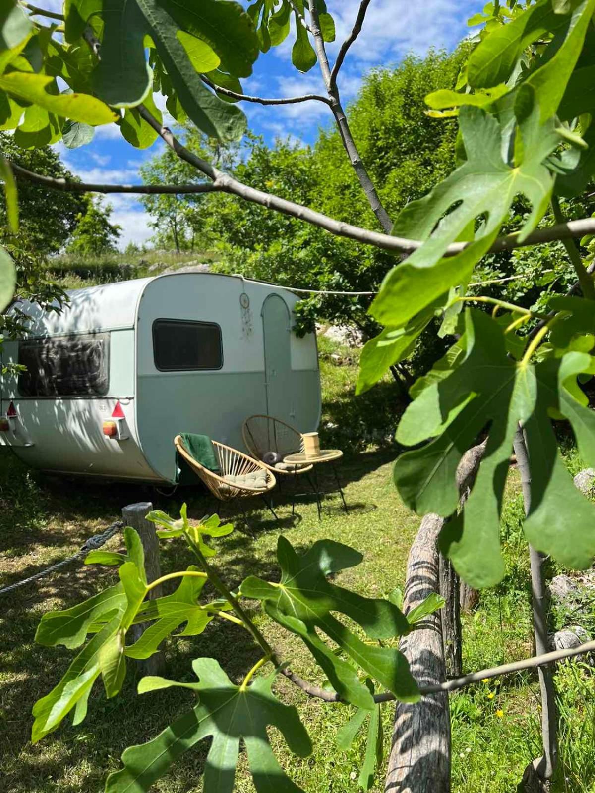 Camp Oaza,Lipa Hotell Cetinje Eksteriør bilde