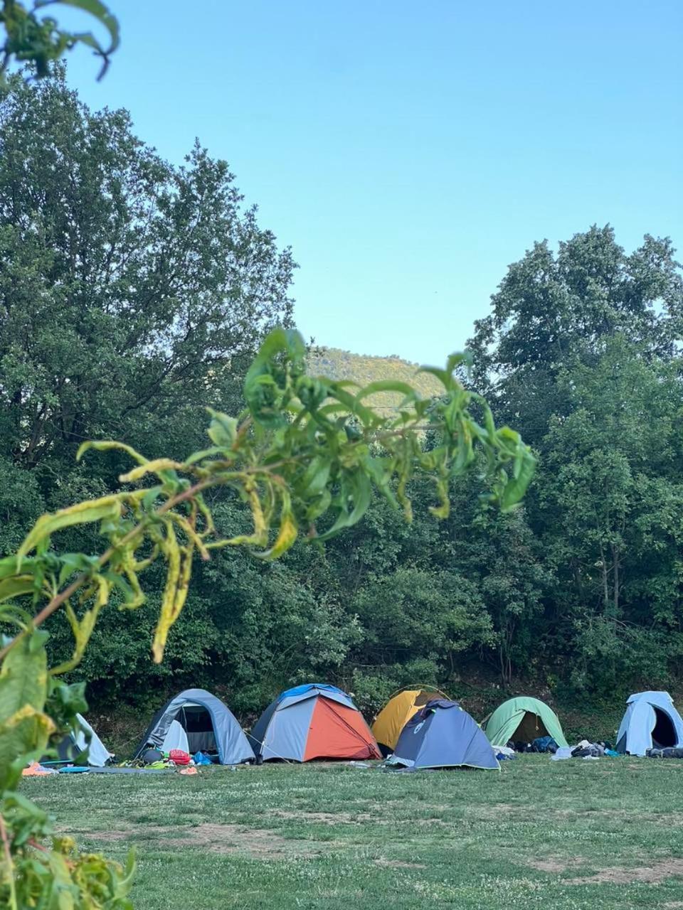 Camp Oaza,Lipa Hotell Cetinje Rom bilde